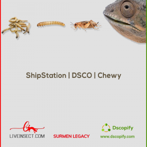 ShipStation and DSCO Integration for Chewy - Surmen Legacy