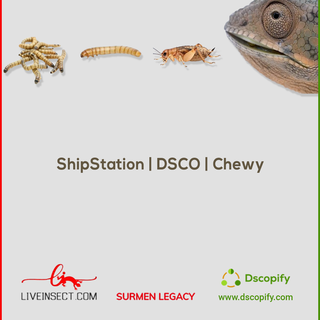 ShipStation and DSCO Integration for Chewy - Surmen Legacy